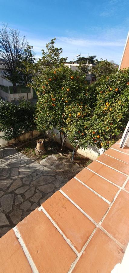 Appartement Entier Au Dessus De Villa, Climatisation Reversible Poele A Bois Tres Chaleureux , Wi Fi Parking Privee Gratuit Situation 500 M, Plage Et Centre Ville 사나리쉬르메르 외부 사진